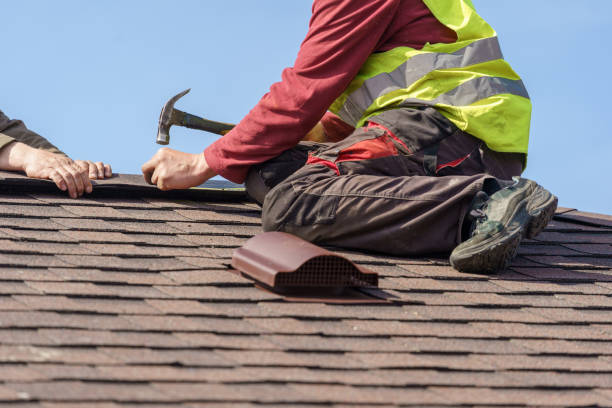 Best Roof Gutter Cleaning  in Lewisburg, KY