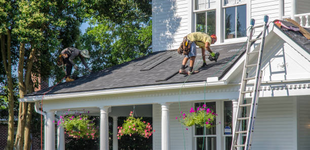 Best Storm Damage Roof Repair  in Lewisburg, KY